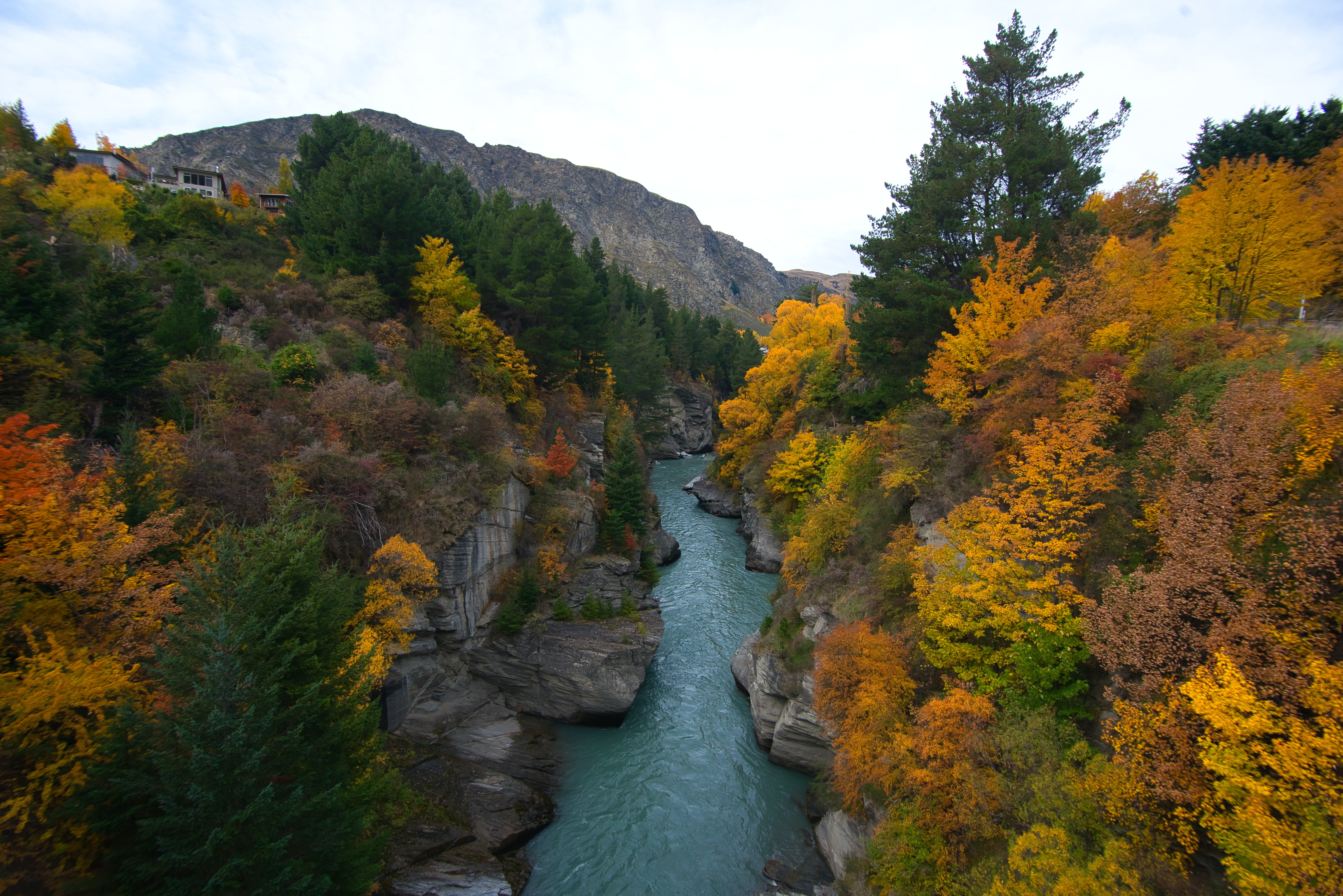 autumnal river